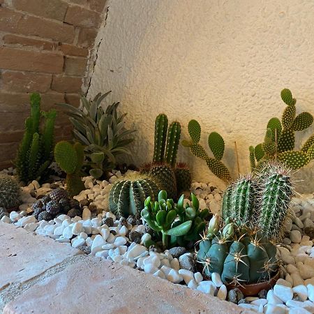 Cactus Suite Pisa Exteriör bild